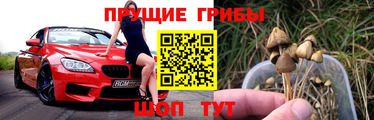Галлюциногенные грибы Psilocybe  Вход с VPN  Магнитогорск 